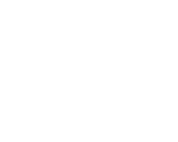 Expertise Best Real - Atlanta Roof Master